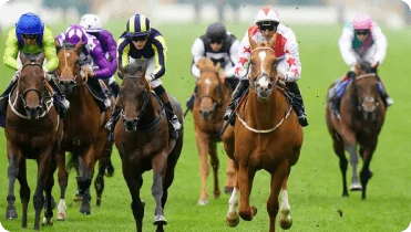horse-race-betting